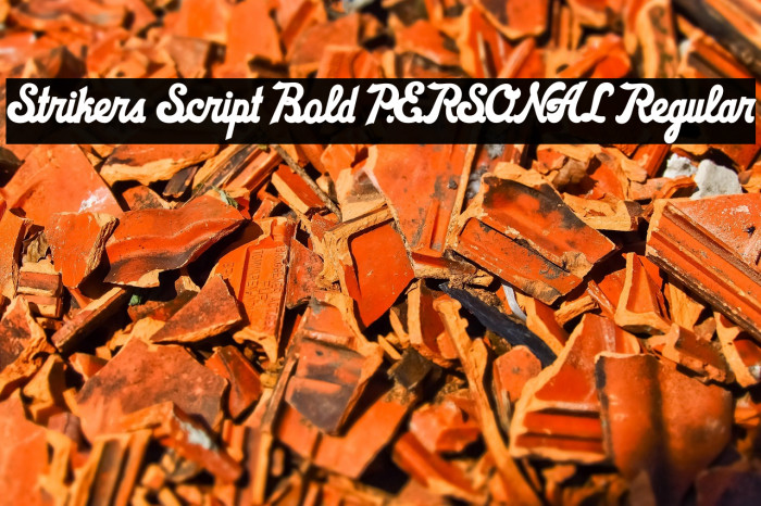 Strikers Script Bold PERSONAL Regular Example 2