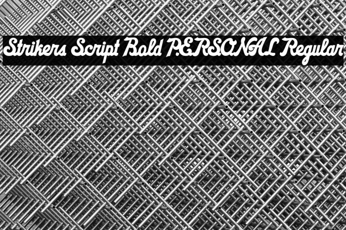 Strikers Script Bold PERSONAL Regular Example 3