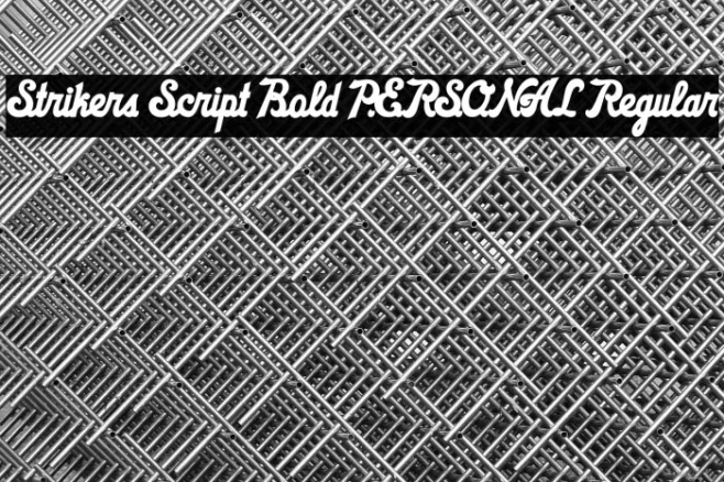 Strikers Script Bold PERSONAL Regular Example 3