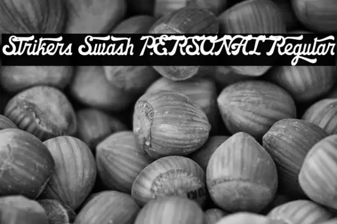 Strikers Swash PERSONAL Regular Font examples
