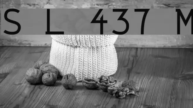 String Literal 437 Medium Font examples