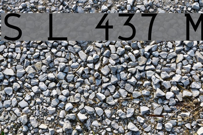 String Literal 437 Medium Font examples