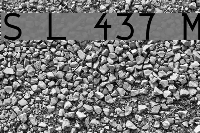 String Literal 437 Medium Font examples