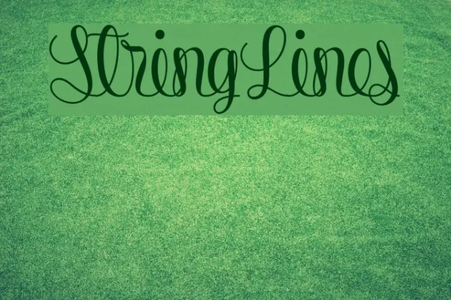 StringLines Example 1