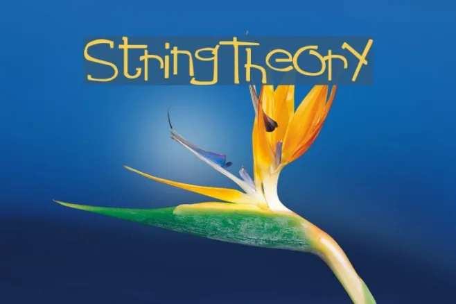StringTheory Example 3