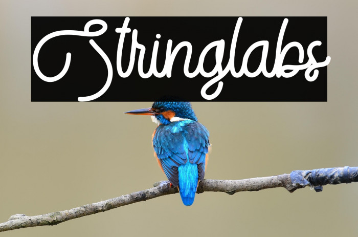 Stringlabs Example 2