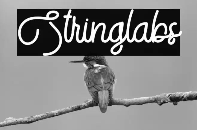 Stringlabs Font examples
