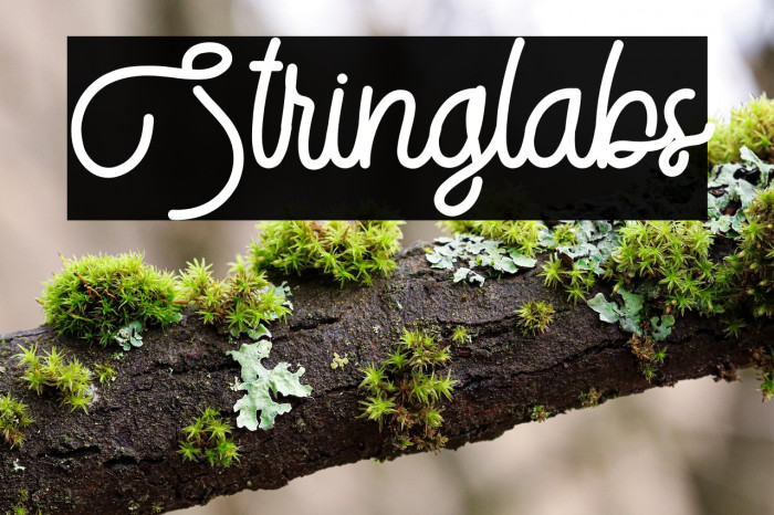 Stringlabs Example 3