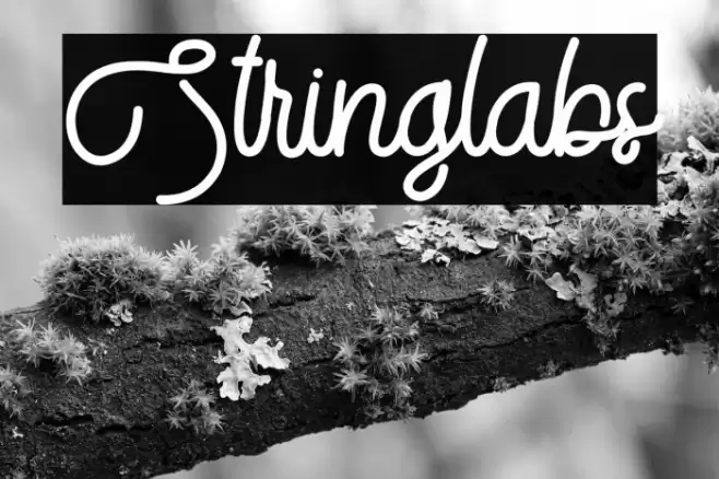 Stringlabs Font examples