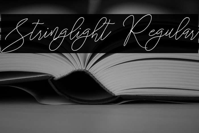 Stringlight  Regular Example 1