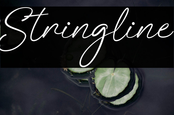 Stringline Example 3