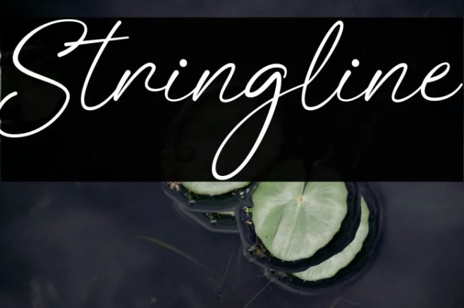 Stringline Example 3