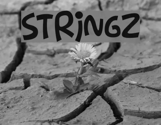 Stringz Font examples