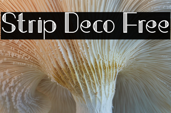 Strip Deco Free Example 3