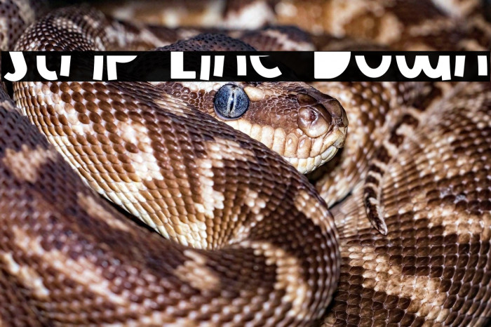 Strip Line Down Example 1