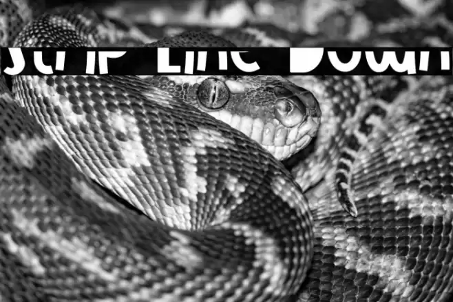 Strip Line Down Font examples