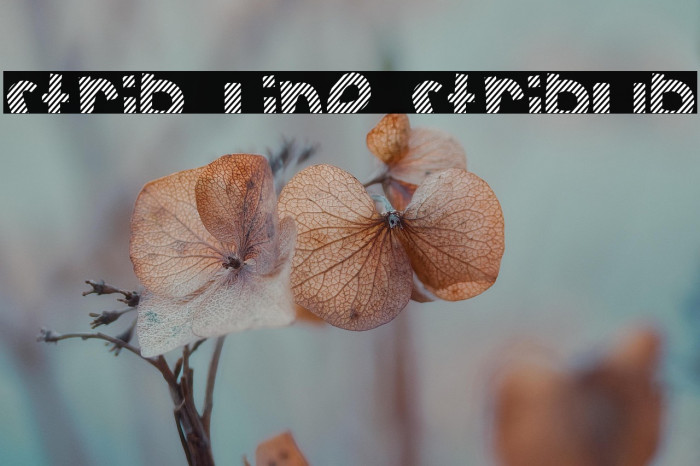 Strip Line StripUp Example 1