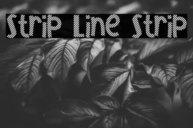 Strip Line Strip Font examples