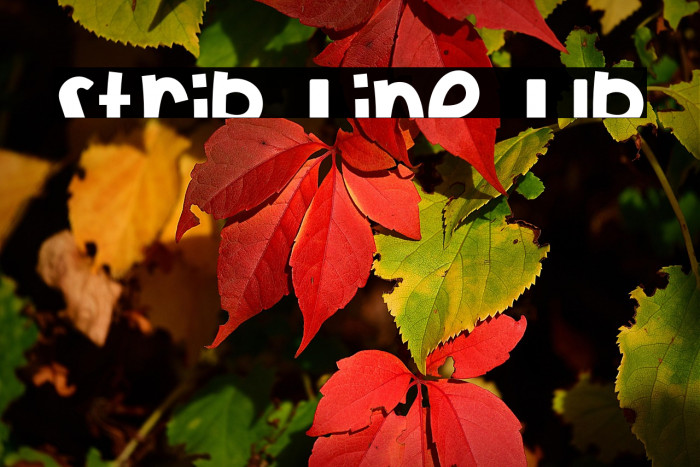 Strip Line Up Example 1