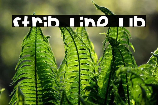 Strip Line Up Example 2