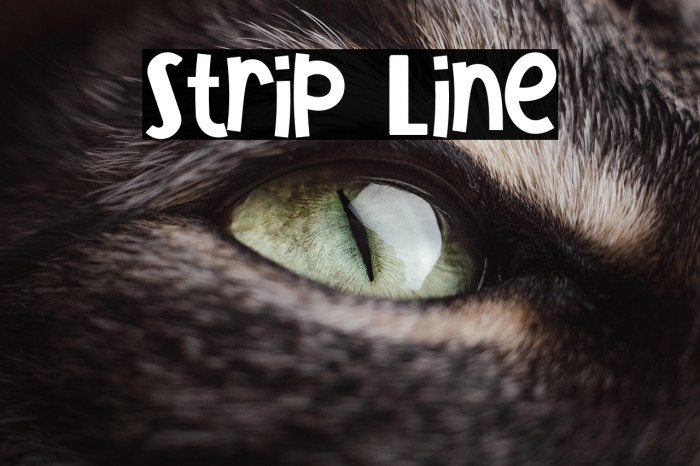 Strip Line Example 1