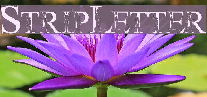 StripLetter1 Font examples
