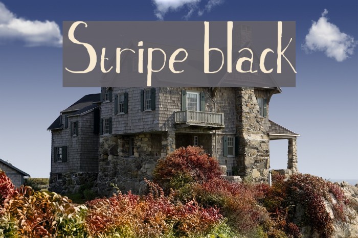 Stripe black Font examples