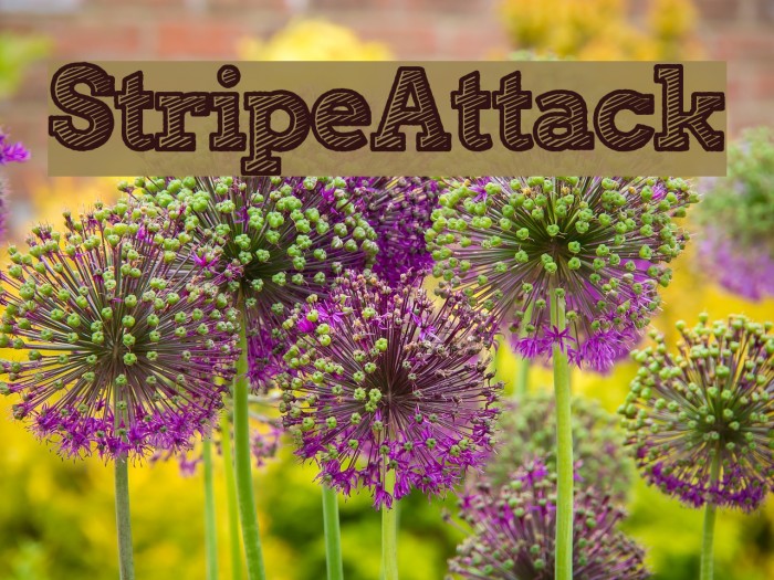 StripeAttack Example 1