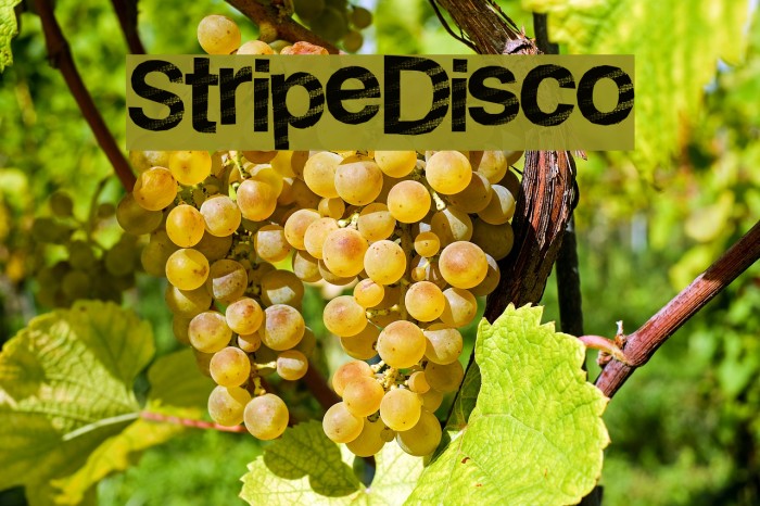 StripeDisco Font examples