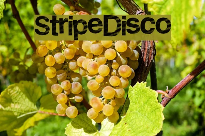 StripeDisco Example 1