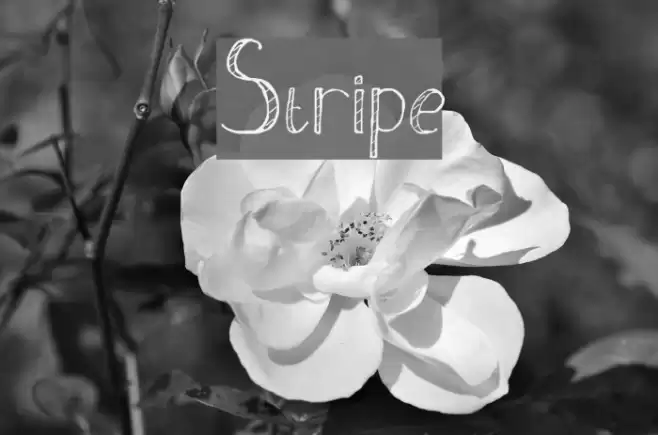 Stripe Font examples