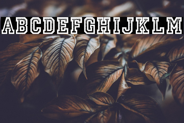 Striped Campus Example 1