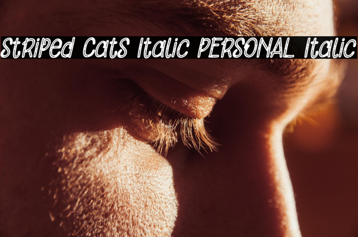 Striped Cats Italic PERSONAL Italic Example 1