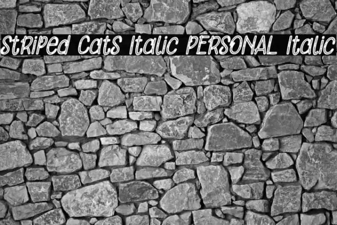 Striped Cats Italic PERSONAL Italic Font examples