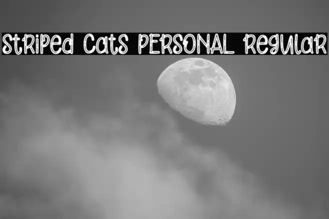 Striped Cats PERSONAL Regular Font examples