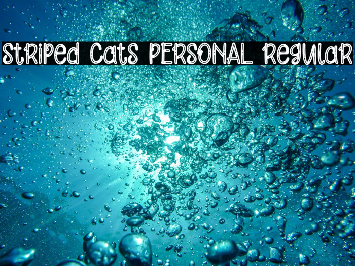 Striped Cats PERSONAL Regular Example 3