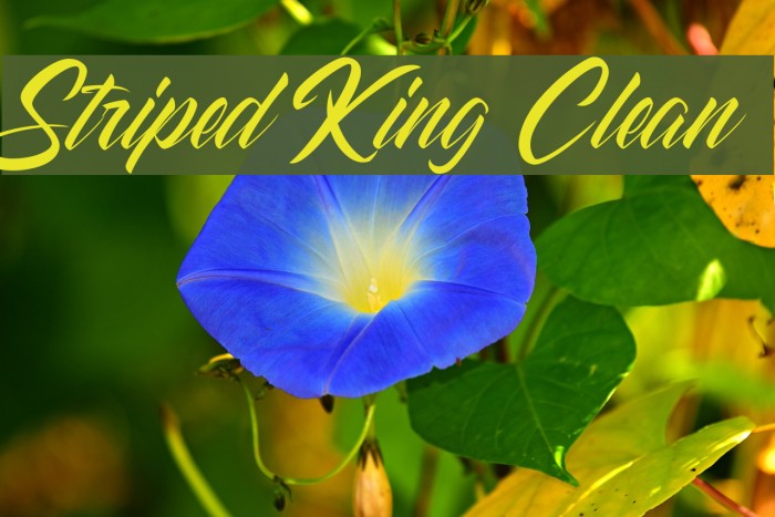 Striped King Clean Font examples