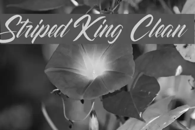 Striped King Clean Font examples