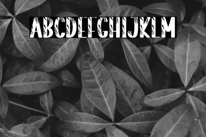 Striped Tiger Font examples