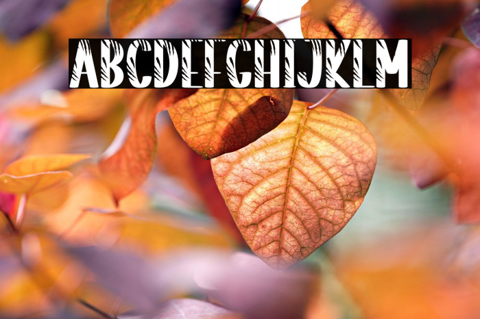 Striped Tiger Example 3