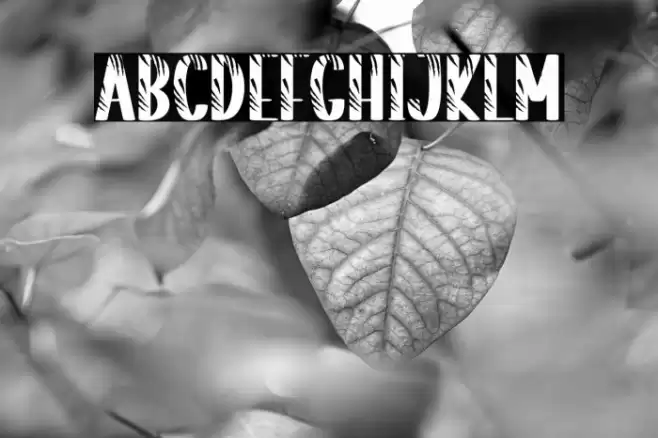 Striped Tiger Font examples