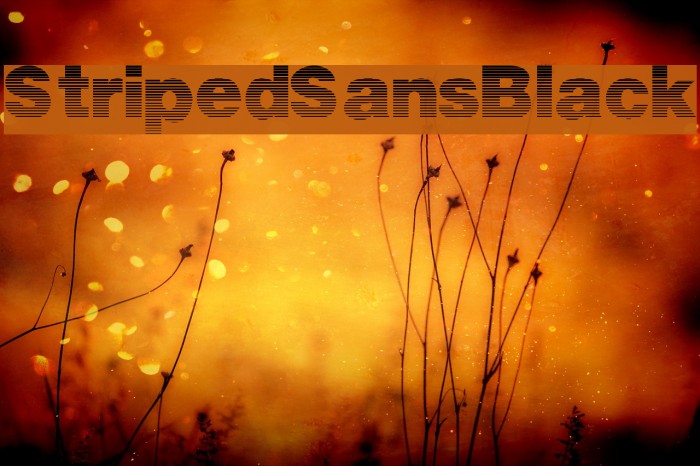 StripedSansBlack Font examples