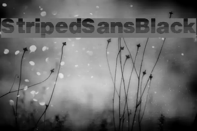 StripedSansBlack Font examples