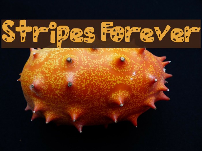 Stripes Forever Font examples