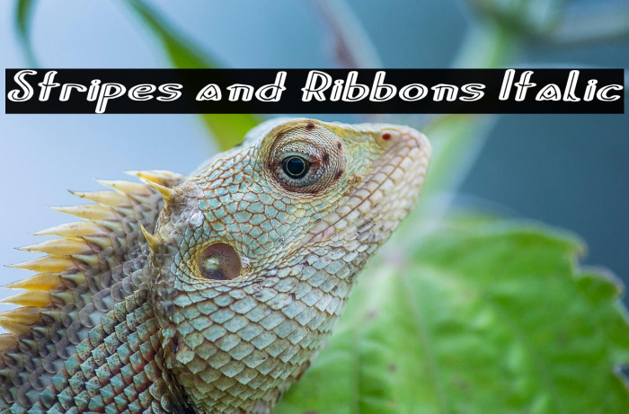 Stripes and Ribbons Italic Example 2