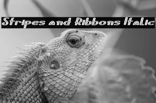 Stripes and Ribbons Italic Font examples