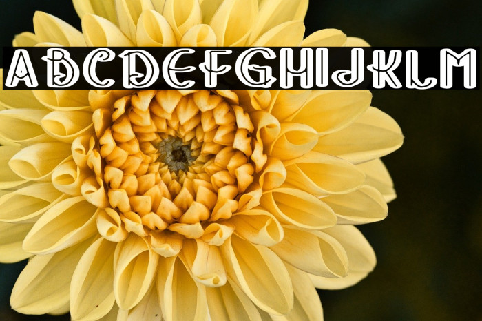 Stripes and Ribbons Example 3