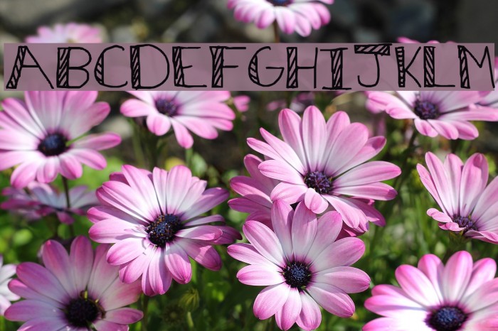 Stripes and bubbles Font examples