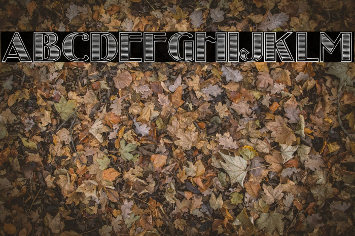 StripesCaps Font examples