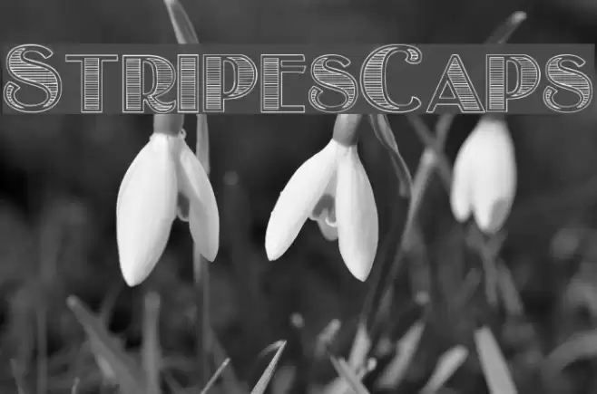 StripesCaps Font examples